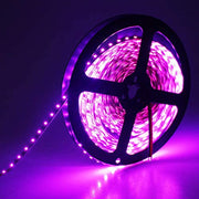 LED Strip 12v