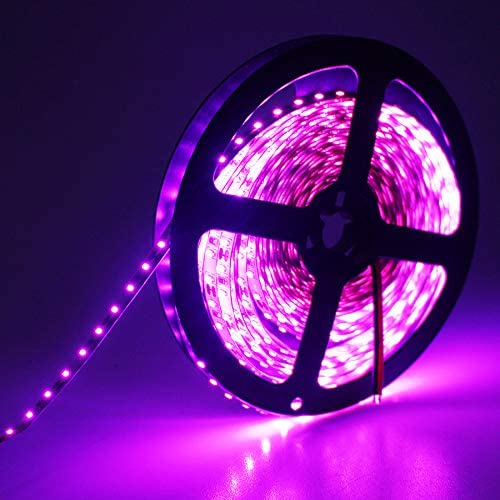 LED Strip 12v